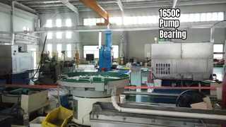 Pomplagers voor extreme temperaturen 1650C