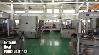 Pomplagers voor extreme temperaturen Siliciumcarbide